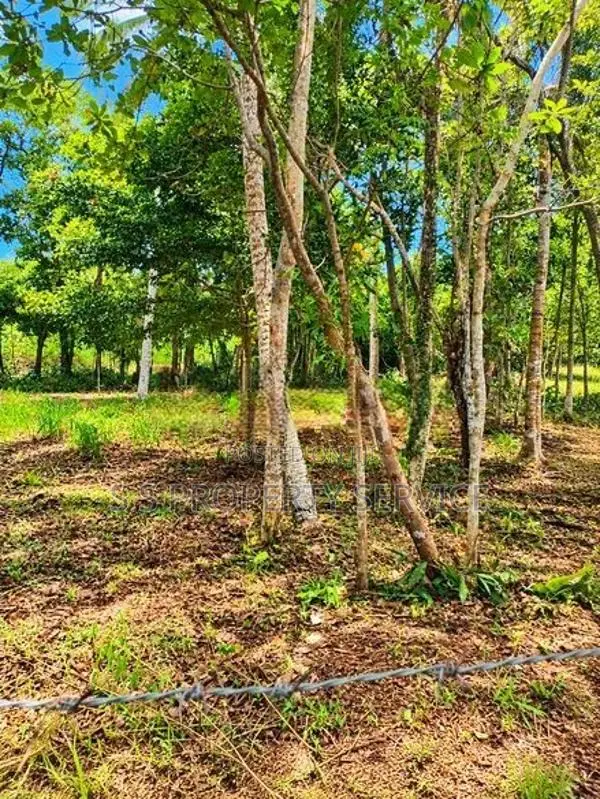 120-Perch Land for Sale in Raddolugama (SSPL-521)
