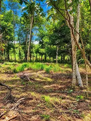 120-Perch Land for Sale in Raddolugama (SSPL-521)