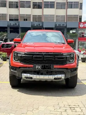 Ford Raptor 2025 Pickup (Used)