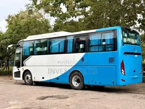 Micro Golden Dragon 2021 Bus (Used)