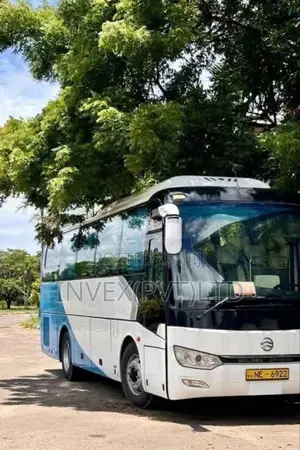 Micro Golden Dragon 2021 Bus (Used)