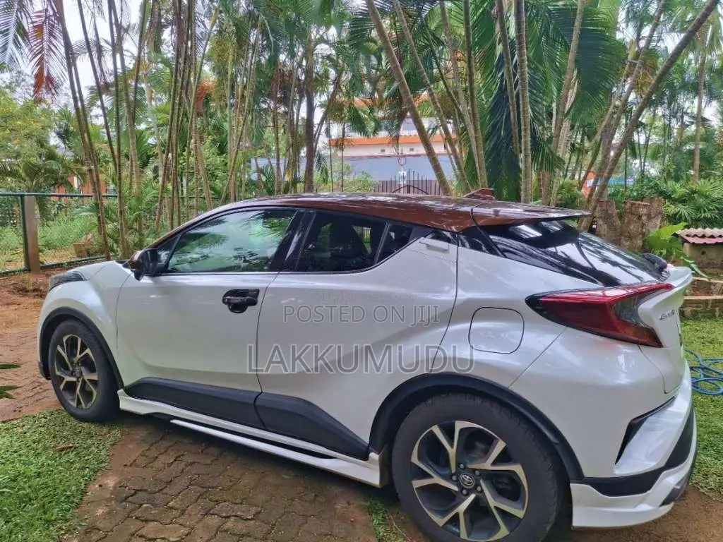 Toyota CHR 2019 SUV (Used)