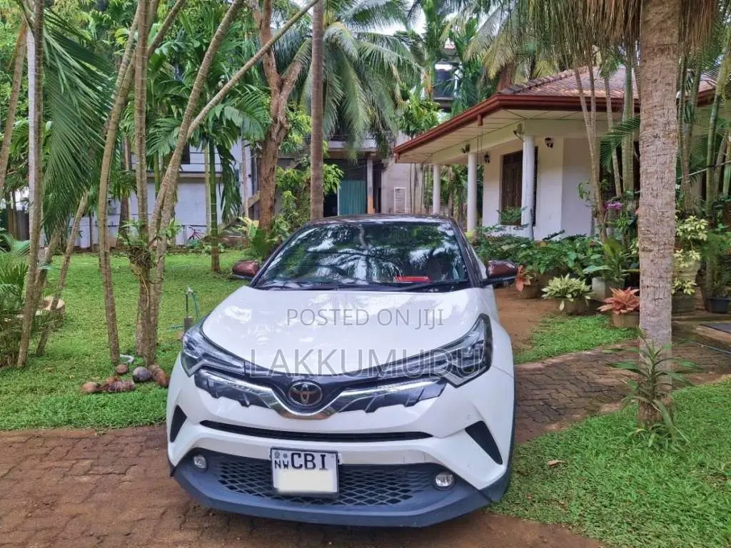 Toyota CHR 2019 SUV (Used)