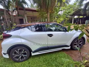 Toyota CHR 2019 SUV (Used)