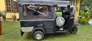Piaggio Ape 2010 Three Wheel (Used)
