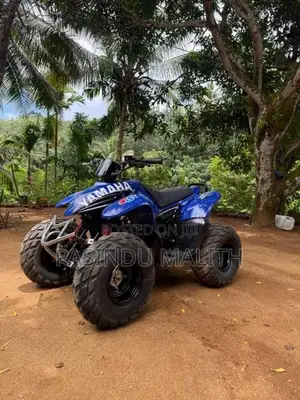 Yamaha Atv Beach Quad 2021 Motorbike Unregistered (Recondition)