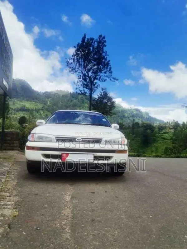 Toyota Corolla 1996 Car (Used)