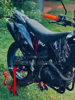 Demak DTM 2016 Motorbike (Used)