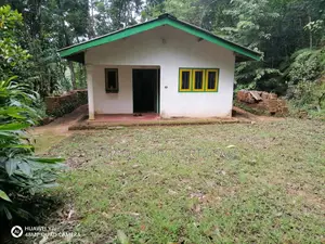 21-Acre Mahogany Plantation for Sale – Kitulgala