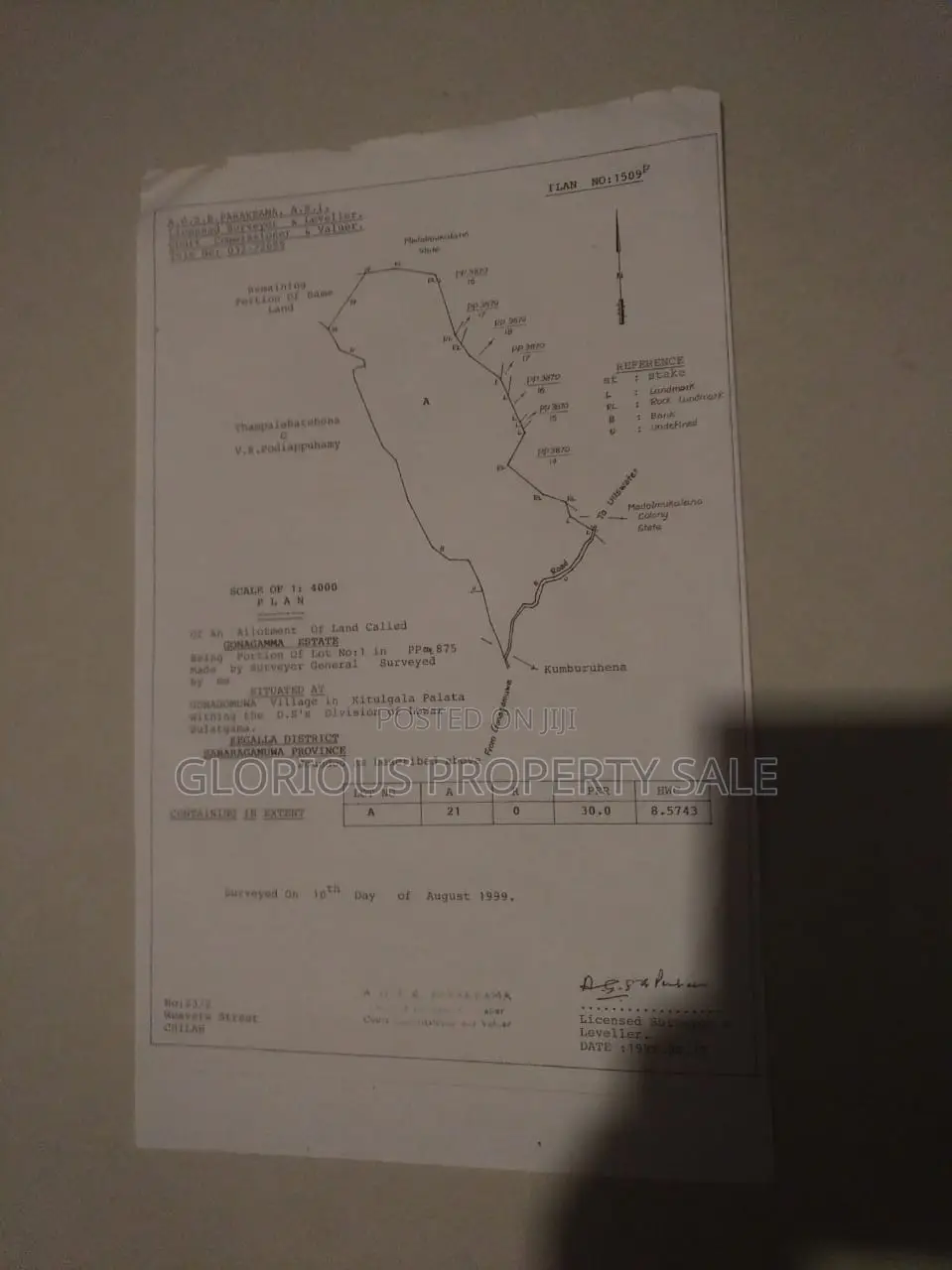 21-Acre Mahogany Plantation for Sale – Kitulgala