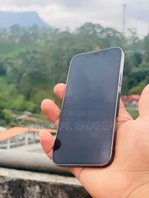 Apple iPhone 12 Pro 512 GB Black