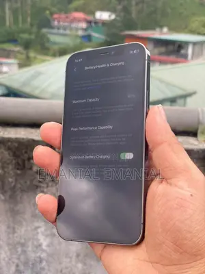 Apple iPhone 12 Pro 512 GB Black