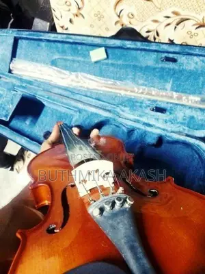 Super Lark Violin