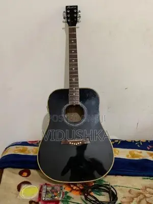 Guitar