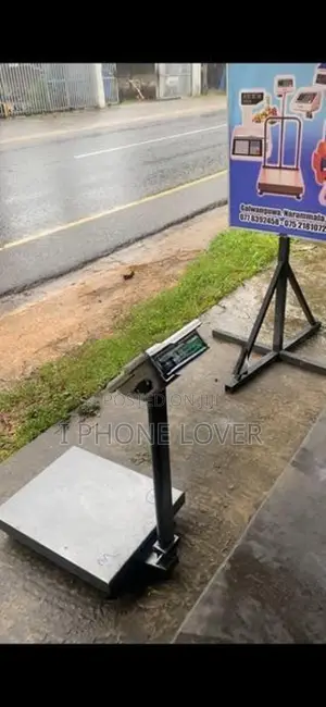 300Kg Platform Digital Weight Scale