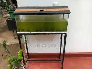 මාලු ටැංකි