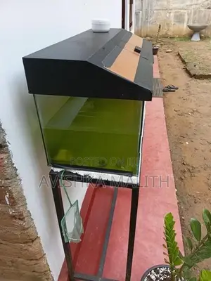 මාලු ටැංකි