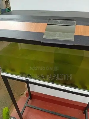 මාලු ටැංකි
