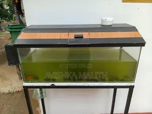 මාලු ටැංකි