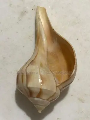 Walampuri