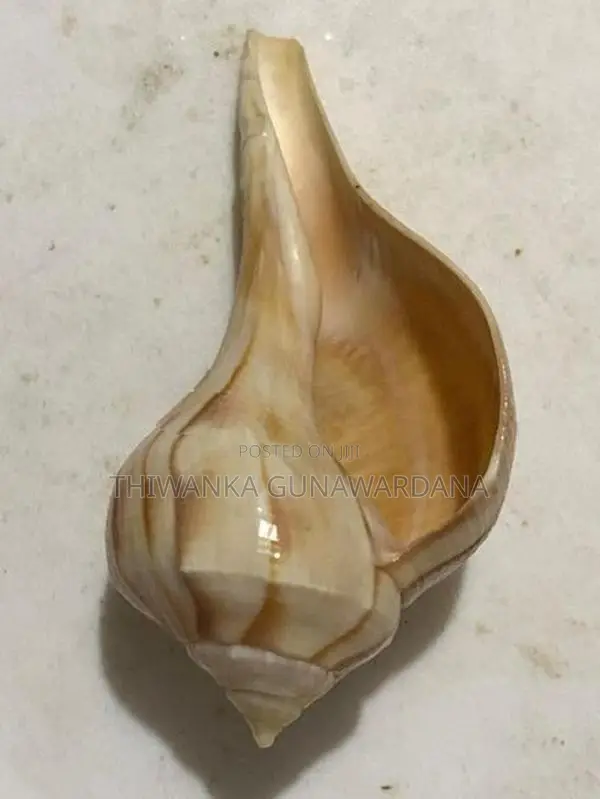 Walampuri