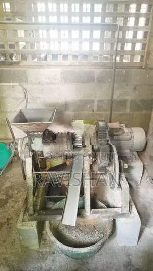 තෙල් මෝල