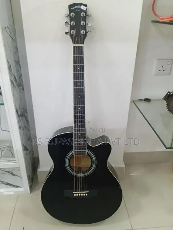 Robinson Box Guitar
