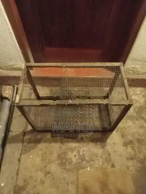 Pet Cage