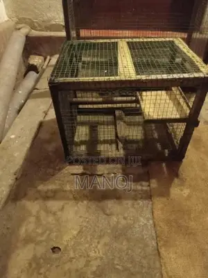 Pet Cage