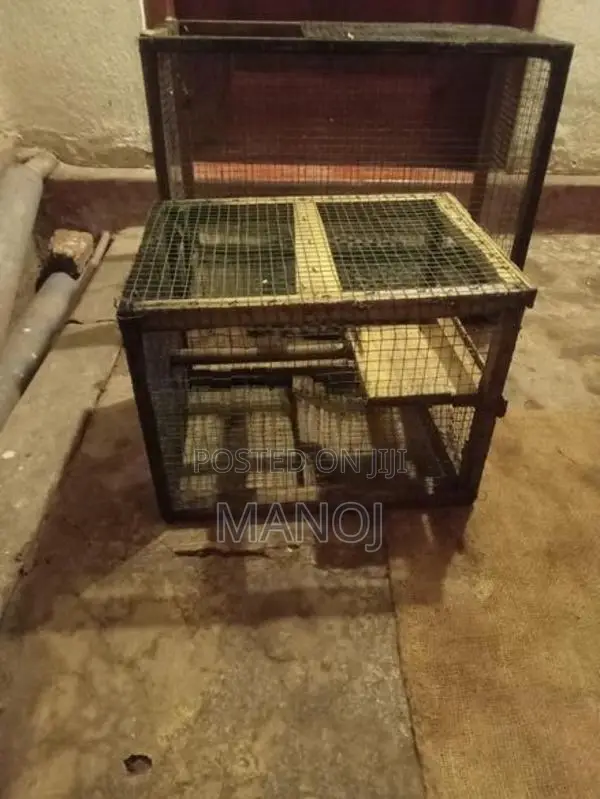 Pet Cage
