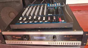 NRS Amp With Dual 15 Inch Top Mixer