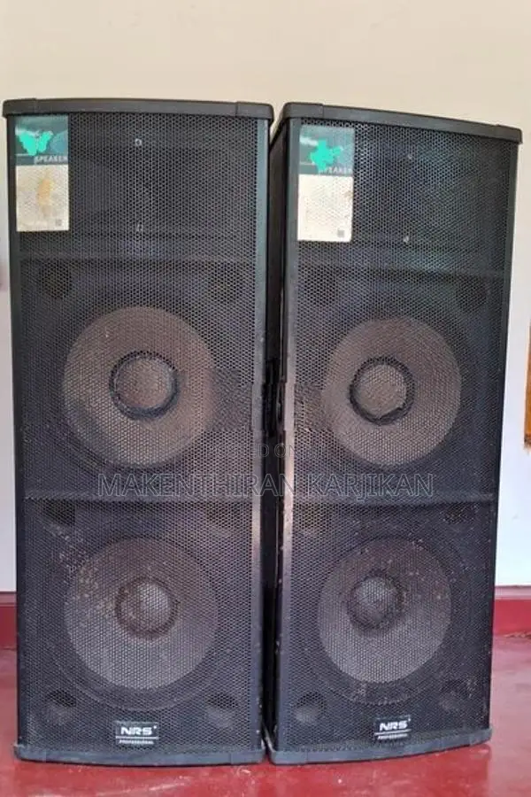 NRS Amp With Dual 15 Inch Top Mixer