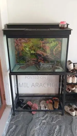 Fish Tank with Stand