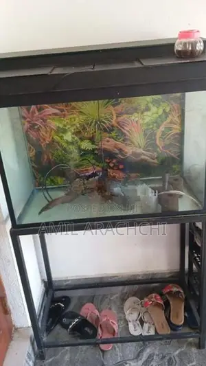 Fish Tank with Stand