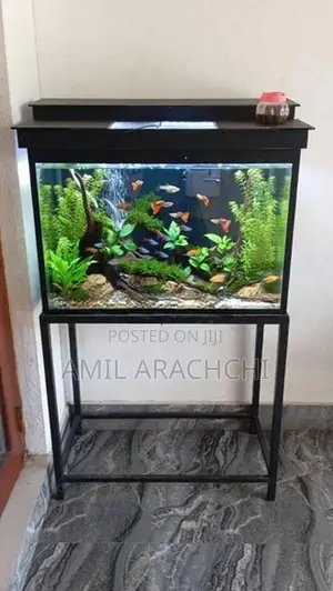 Fish Tank with Stand