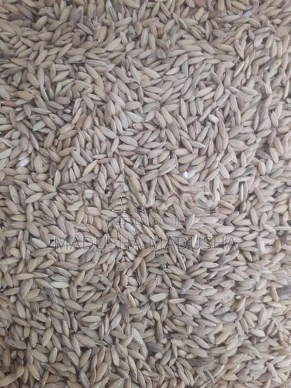 නාඩු වී