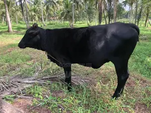 Breeding