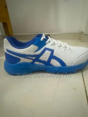 Asics Cricket Shoe