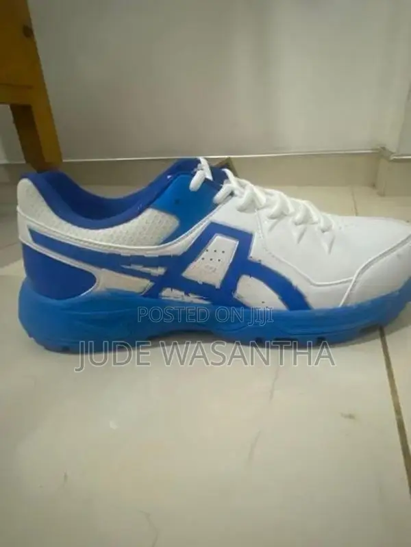 Asics Cricket Shoe