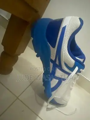 Asics Cricket Shoe