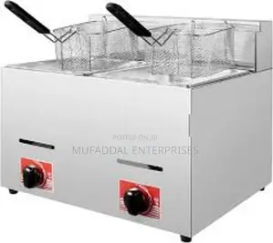Deep Fryer Gas Double 16L