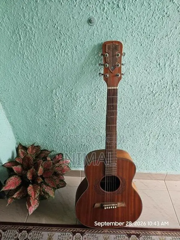 "Crusader" Box Guitar