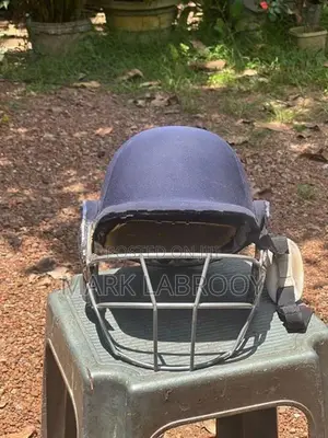 Cricket Helmet