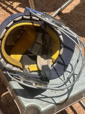 Cricket Helmet