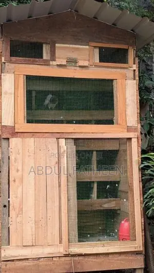 Pigeon Cage