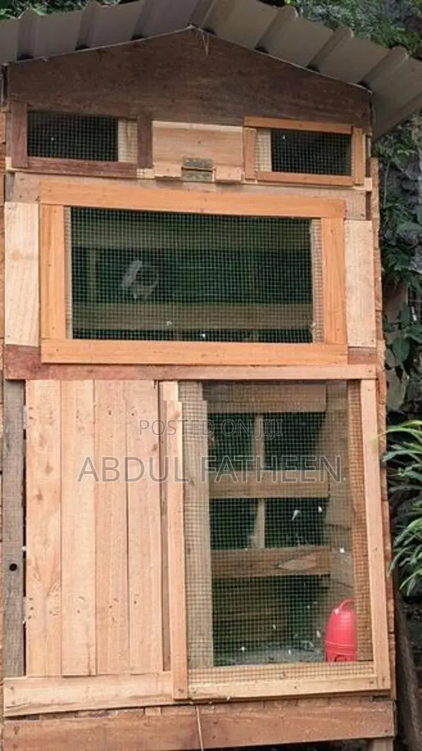 Pigeon Cage