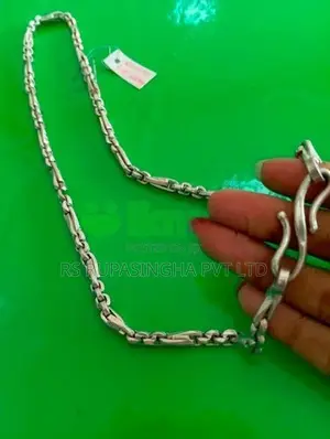 Silver Chain 67.4G