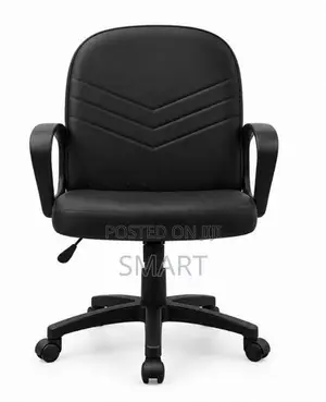 Piyestra (55*57*94 Cm) Ex Low Back Gas Lift Chair -Ecl003