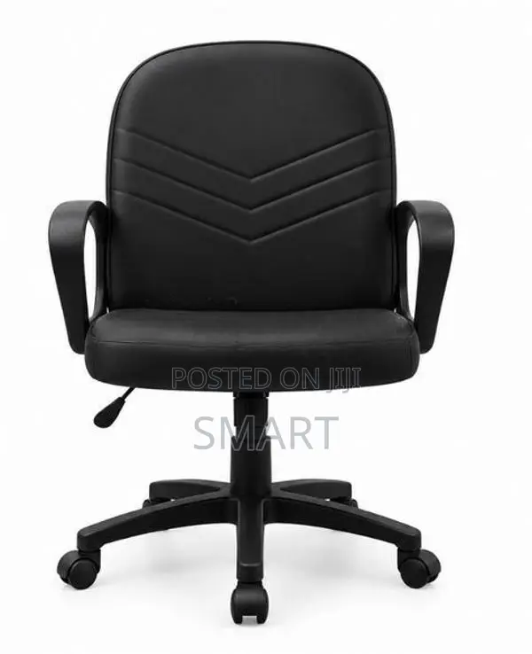Piyestra (55*57*94 Cm) Ex Low Back Gas Lift Chair -Ecl003