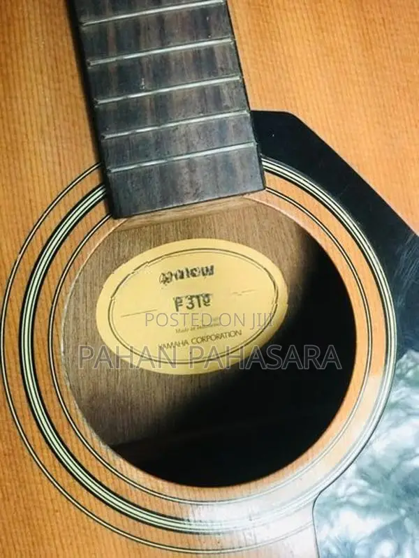 Yamaha F310
